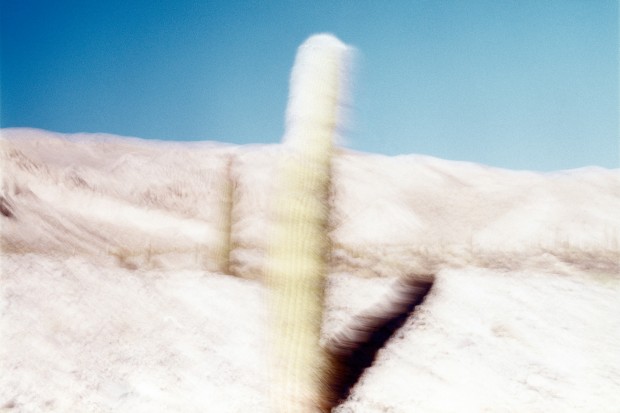 Patricia Gouvêa, Imagens posteriores, 2012