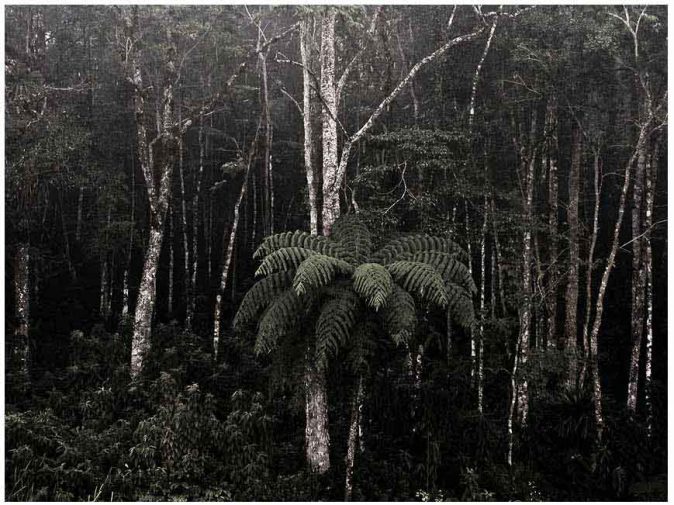 Edu Marin, Shining, 2012